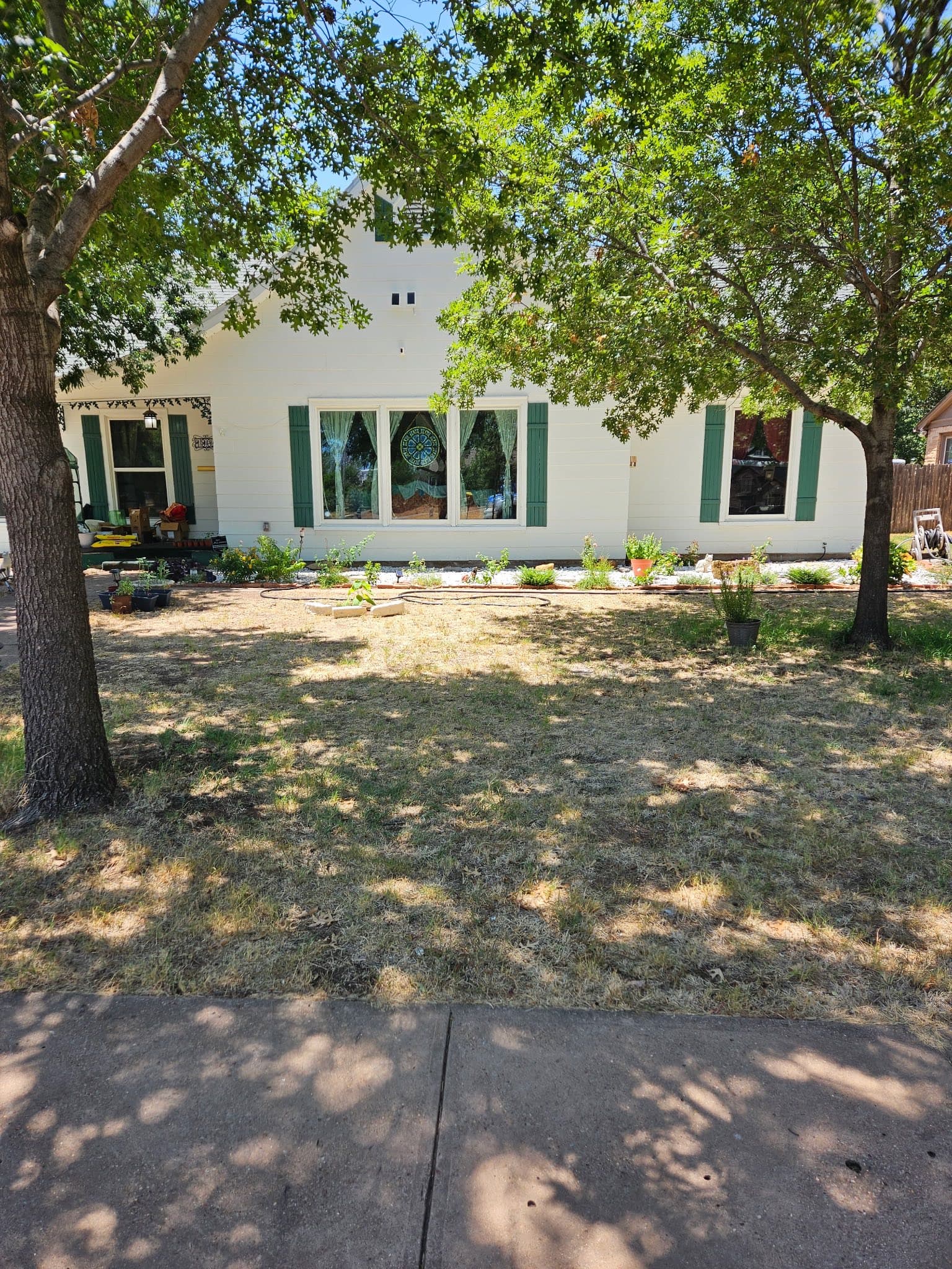 An Abilene cottage shaded by mature trees, with white windows and green shutters